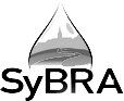 SyBRA