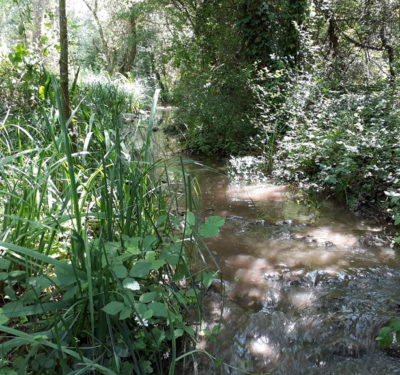 Les Eaux Claires