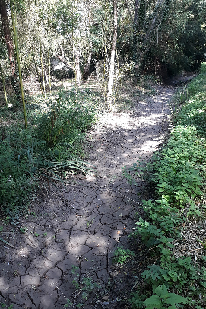 Echelle à sec en septembre 2017 - Le Pontil -Touvre