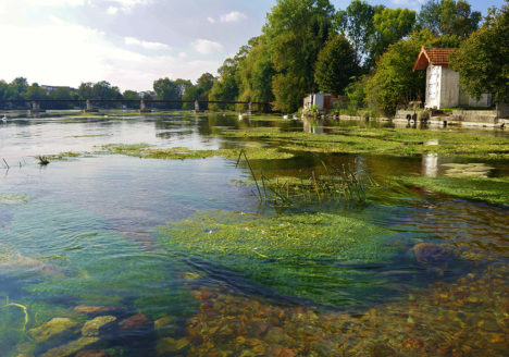 La qualité des eaux de surface