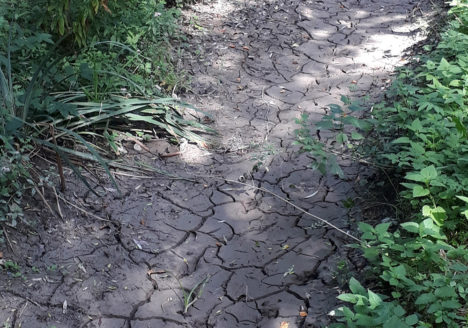 Mesure de débit des cours d'eau