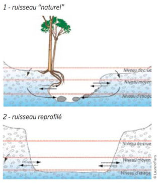 Représentation des échanges entre ruisseau et nappe d'accompagnement