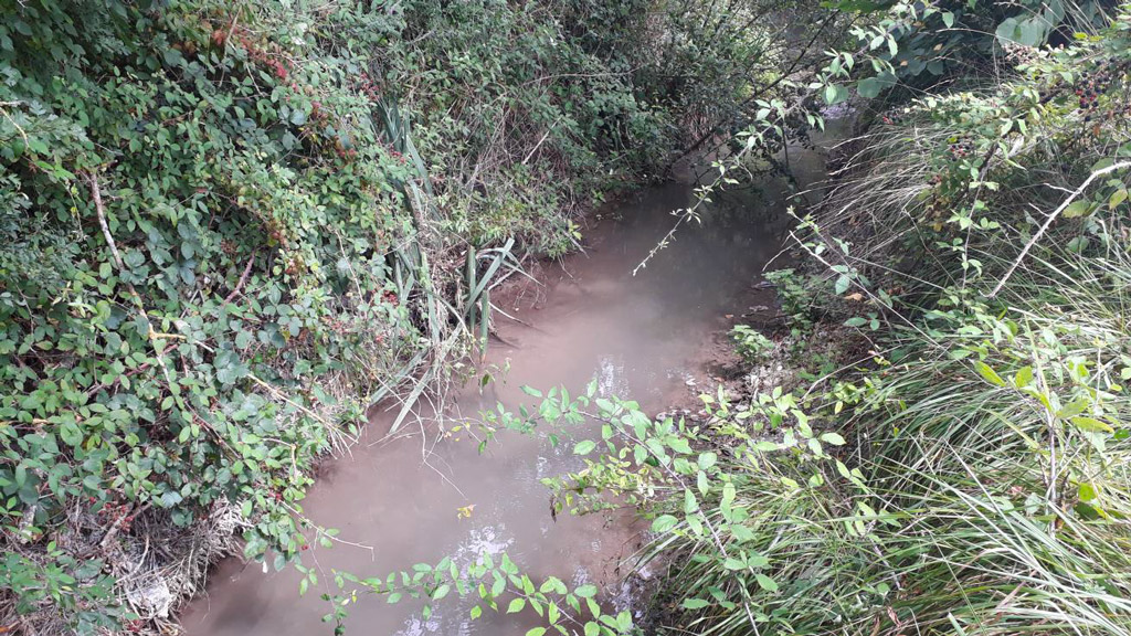 Chantier de diversification des écoulements de la Boëme - Secteur amont Mouthiers sur Boëme