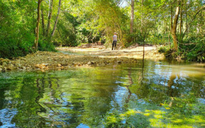 Chantier de diversification des écoulements de la Boëme.