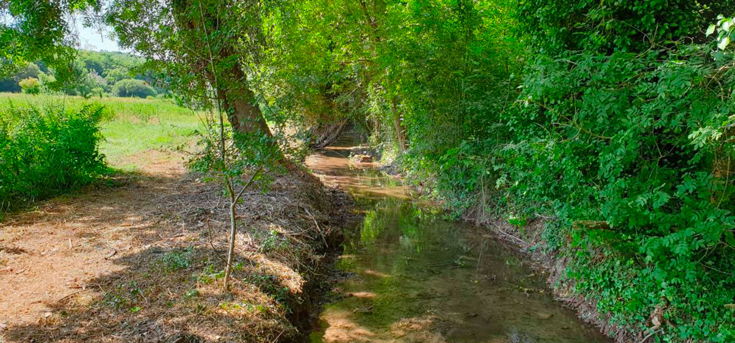 Chantier de diversification des écoulements de la Charraud