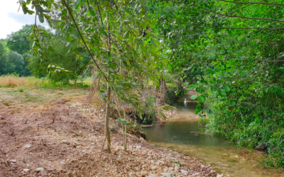 Chantier de diversification des écoulements de la Charraud