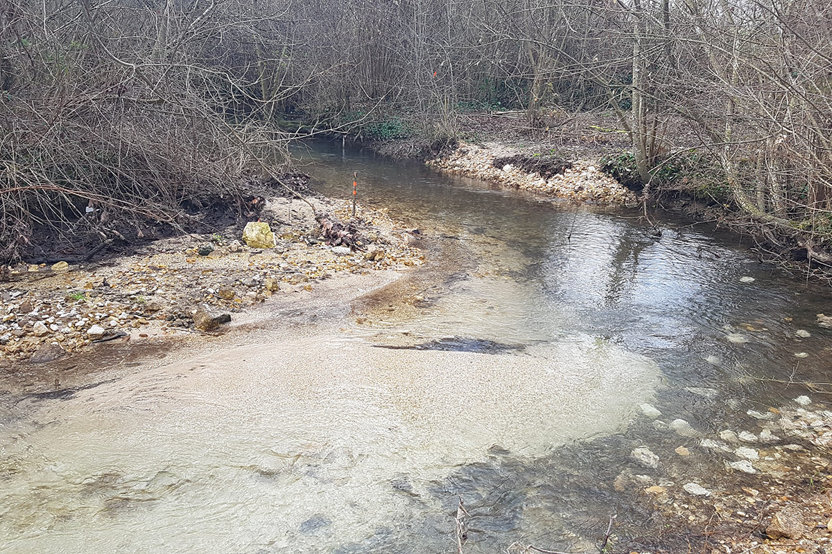 Chantier de diversification des écoulements de la Nouère - Après travaux.