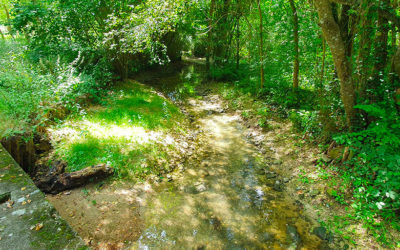 Chantier de diversification des écoulements de la Nouère