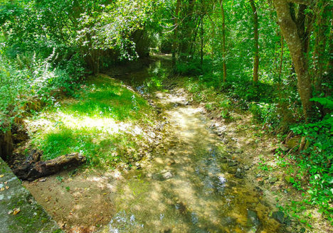 Chantier de diversification des écoulements de la Nouère