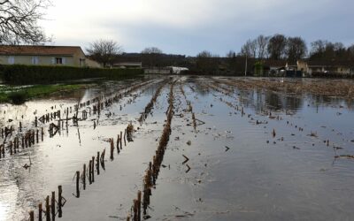 Le risque inondation