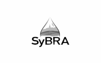 Compte-rendu comité syndical SyBRA Compte-rendu comité syndical SyBRA
