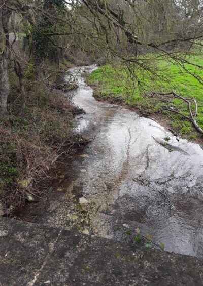 Source et faciès du Ruisseau d’Orlut.