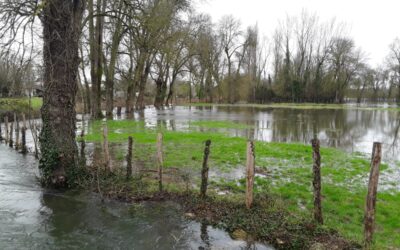 Prairie constituant une zone d'expansion de crue en bordure de la Guirlande Prairie constituant une zone d'expansion de crue en bordure de la Guirlande