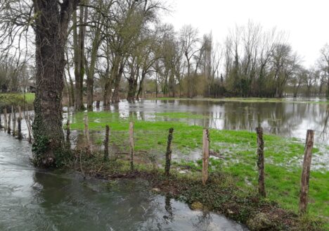 Prairie constituant une zone d'expansion de crue en bordure de la Guirlande