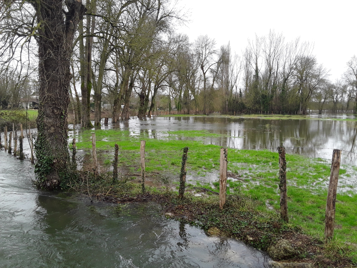 Prairie constituant une zone d'expansion de crue en bordure de la Guirlande