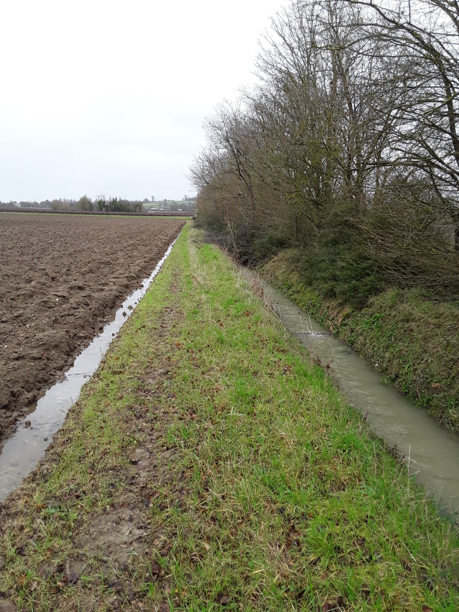 Tronçon de cours d'eau rectiligne