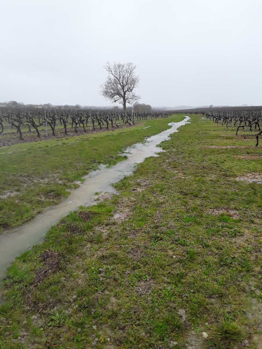 Cours d'eau dépourvu de végétation rivulaire