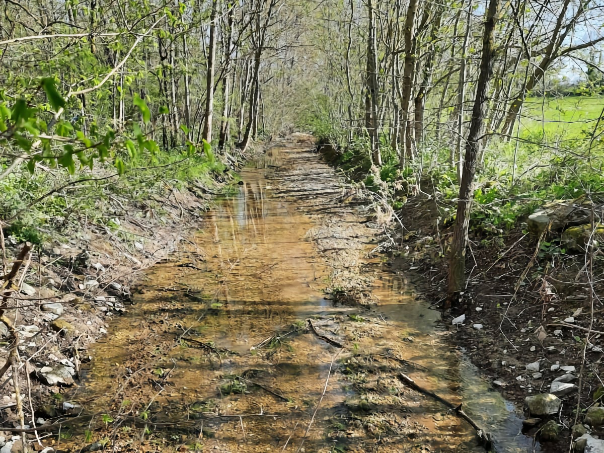 Section présentant des problématiques hydromorphologiques