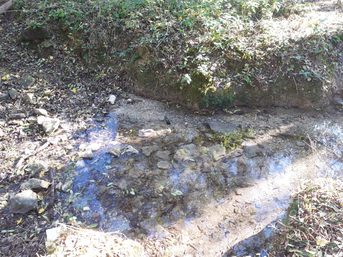 Source de la Guirlande présente dans une praire