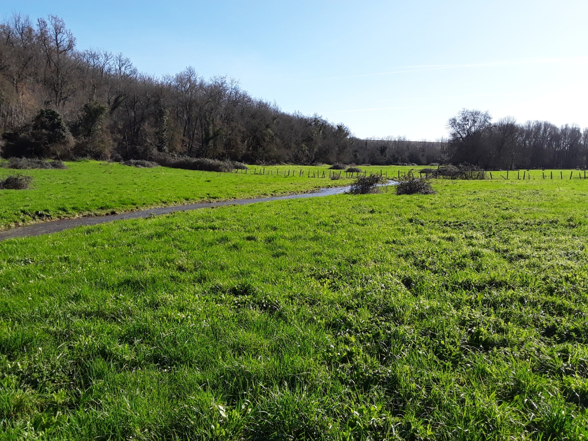 Zone de prairie naturelle traversée par la Guirlande