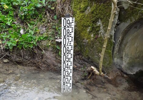 Echelle liminimétrique posée sur la Guirlande