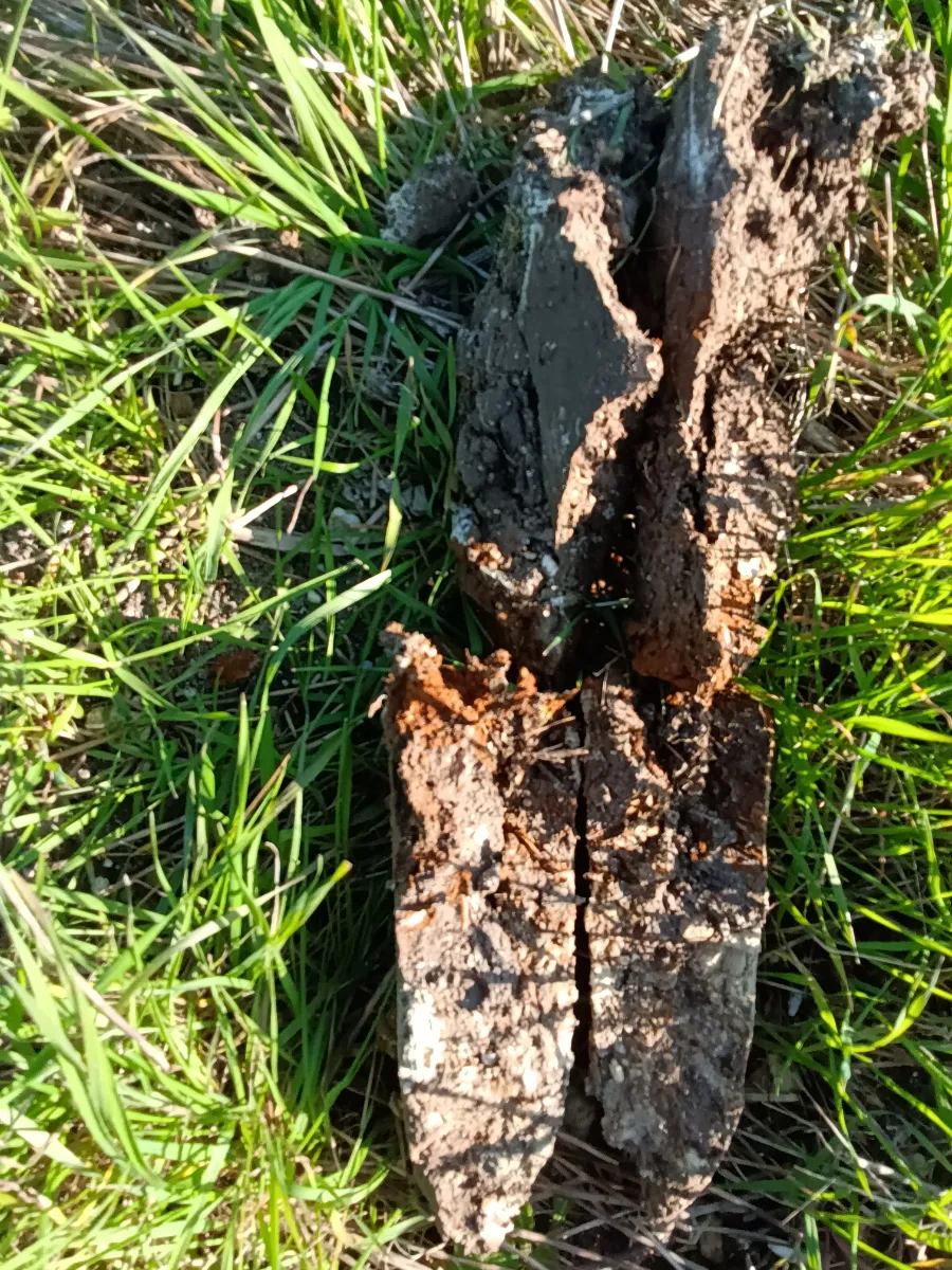 echantillon présentant des traces hydromorphie rouille