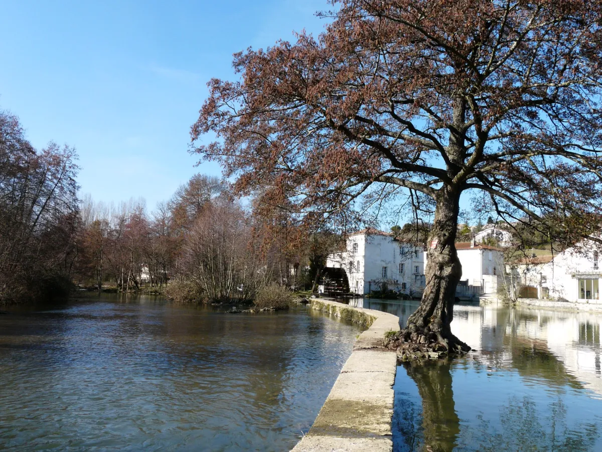 La Touvre - Terrière