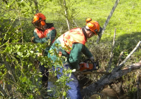Entretenir son cours d'eau
