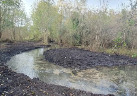 Travaux réalisées par le SyBRA en 2024