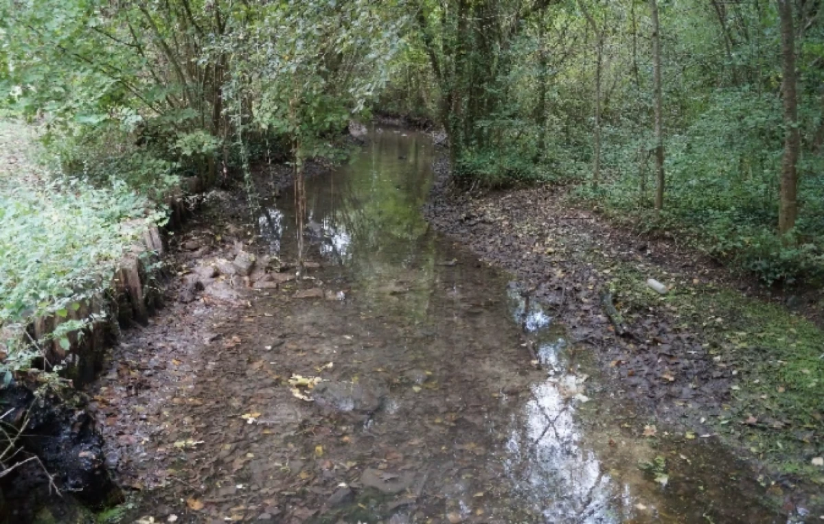 La Nouère avant travaux